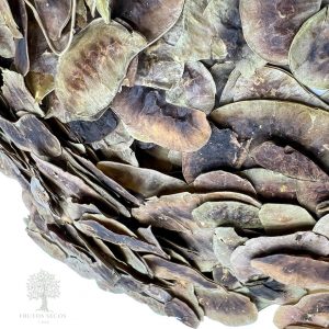 Sen Folículo - Laxante Natural Efectivo | Frutos Secos y Más